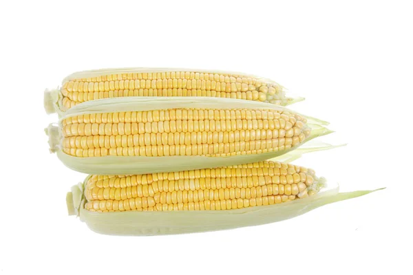 Il primo piano del mais, sfondo bianco — Foto Stock