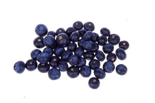 Blueberry — Stock Photo, Image