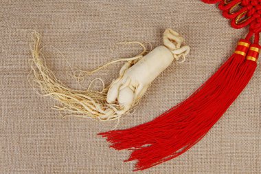 Ginseng, yakın plan.