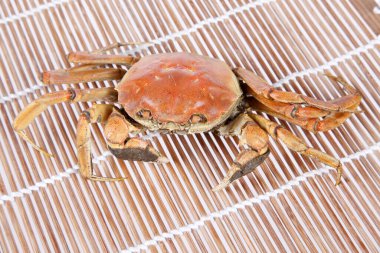 Pişmiş yengeç, yakın plan, beyaz arkaplan