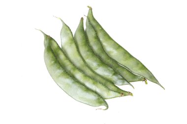 Taze fasulye, yakın plan.