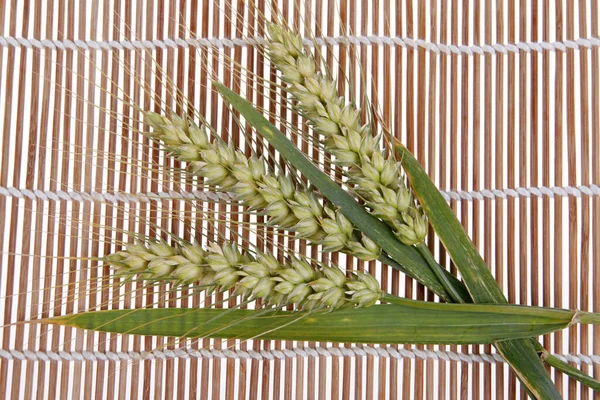 Primo Piano Delle Spighe Frumento — Foto Stock