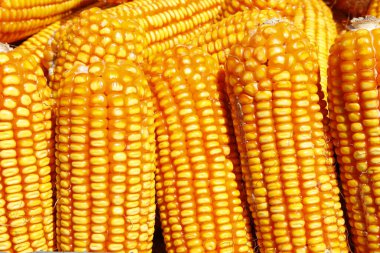 Buzun dokusu, çok güzel, yakın plan.