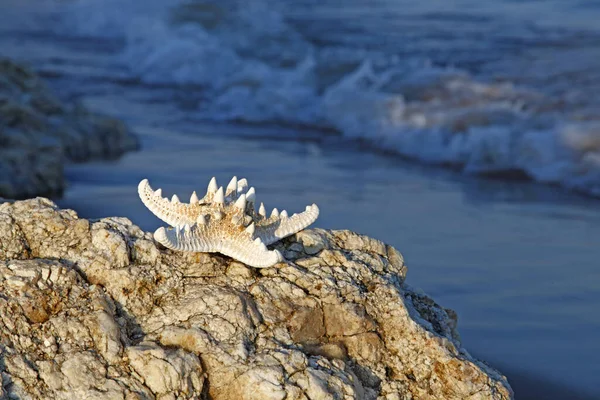 Consistenza Del Ghiaccio Molto Bella Primo Piano — Foto Stock