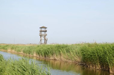 Wetland Park izleme kulesi, çok uzun.