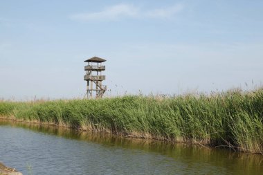 Wetland Park izleme kulesi, çok uzun.