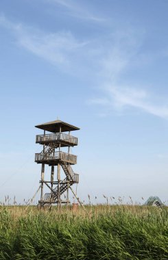 Wetland Park izleme kulesi, çok uzun.