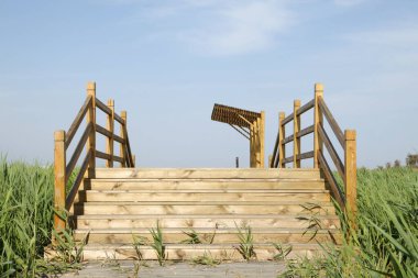 Wetland Park 'taki tahta köprü.