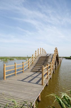 Wetland Park 'taki tahta köprü.