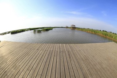 Wetland Park 'taki tahta köprü.