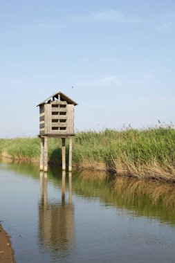 Kuş yuvasının sulak arazisi
