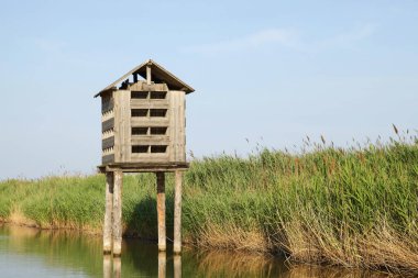 Kuş yuvasının sulak arazisi