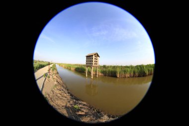 Kuş yuvasının sulak arazisi