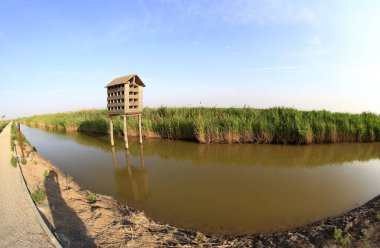 Kuş yuvasının sulak arazisi