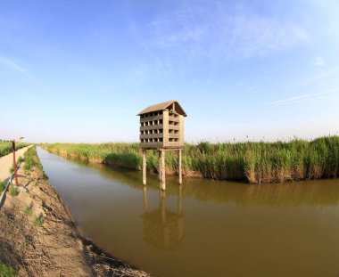 Kuş yuvasının sulak arazisi