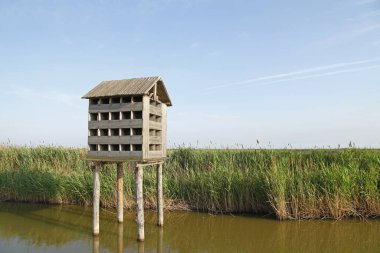 Kuş yuvasının sulak arazisi