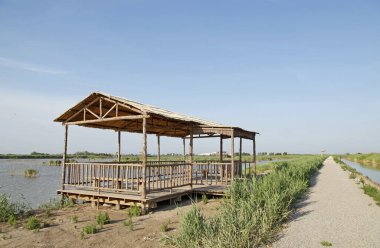 Sulak arazi, mavi gökyüzünün altında beyaz bulutlar