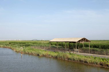 Sulak arazi, mavi gökyüzünün altında beyaz bulutlar