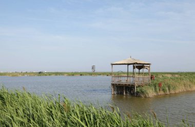 Sulak arazi, mavi gökyüzünün altında beyaz bulutlar