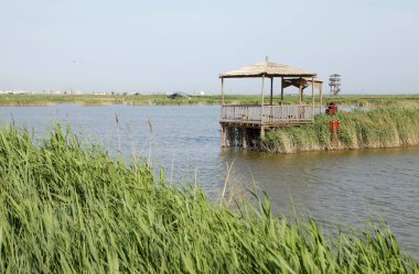 Sulak arazi, mavi gökyüzünün altında beyaz bulutlar