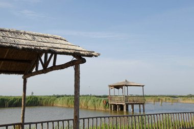 Sulak arazi, mavi gökyüzünün altında beyaz bulutlar
