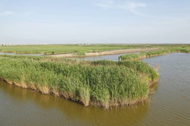 Sulak arazi, mavi gökyüzünün altında beyaz bulutlar