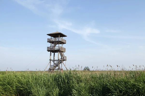 Torre Observación Del Parque Humedales Muy Alta — Foto de Stock