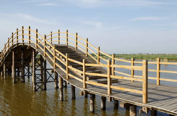 The wood bridge in wetland park