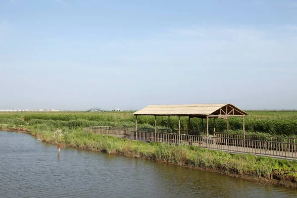 Sulak arazi, mavi gökyüzünün altında beyaz bulutlar
