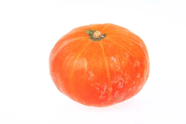 Calabaza Naranja Aislada Sobre Fondo Blanco — Foto de Stock