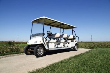 Yeşil golf sahasında beyaz golf arabaları.