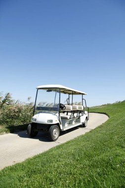 Yeşil golf sahasında beyaz golf arabaları.