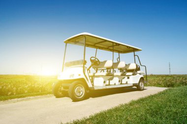 Yeşil golf sahasında beyaz golf arabaları.