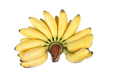 Muz tropikal bir meyvedir, çok lezzetlidir.