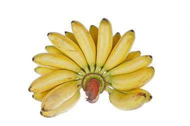 Muz tropikal bir meyvedir, çok lezzetlidir.