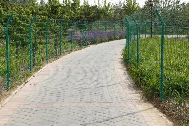 Parkta, her iki tarafında çiçekler olan bir patika.