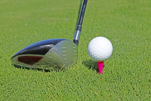 Golf Sopası Top Çimenlerde — Stok fotoğraf