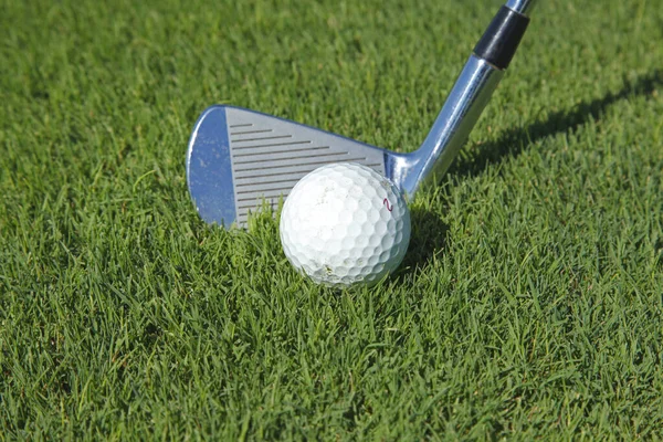 Golf Club Ball Grass — Stock Photo, Image