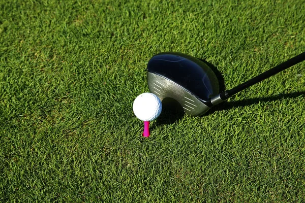 Golf Sopası Top Çimenlerde — Stok fotoğraf