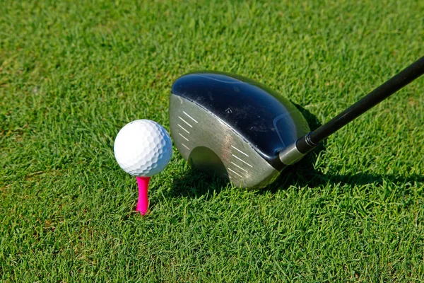 Clube Golfe Bola Grama — Fotografia de Stock