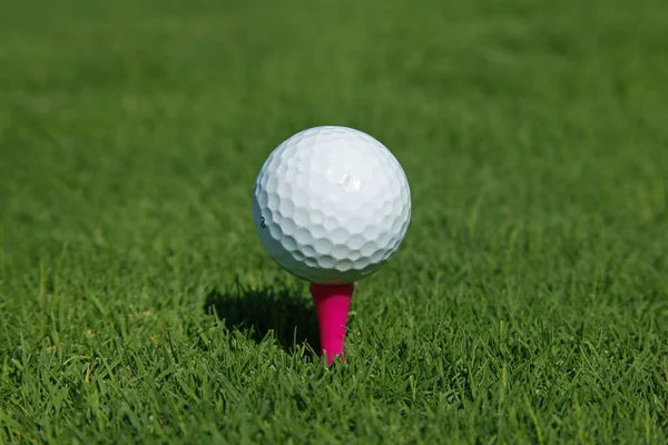 Golfball Auf Dem Rasen — Stockfoto