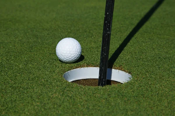 Bola Golfe Grama — Fotografia de Stock