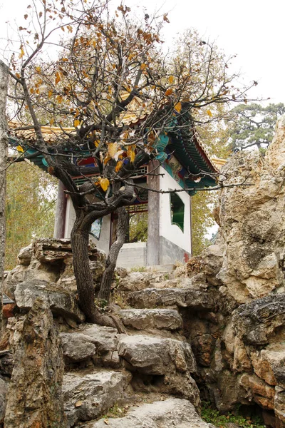 中国古典园林 有亭子和假山 非常漂亮 — 图库照片