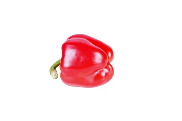 Peppers Berwarna Pada Latar Belakang Putih — Stok Foto