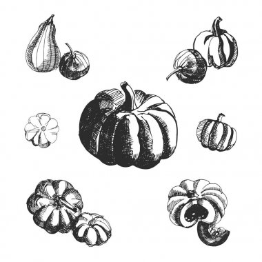 Pumking, beyaz arka plan üzerinde izole Vintage mürekkep elle çizilmiş topluluğu.