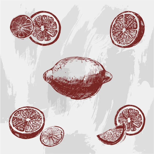 Vintage inchiostro disegnato a mano limone, isolato su sfondo grunge . — Vettoriale Stock
