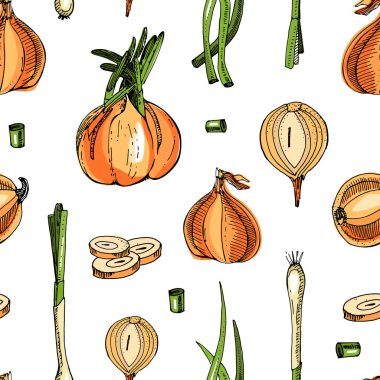 Soğansız desen. El çizimi vektör çizimi. Detaylı retro tarzı çizim. Bitkisel baharat ve yemek malzemelerinin mutfak arka planı..