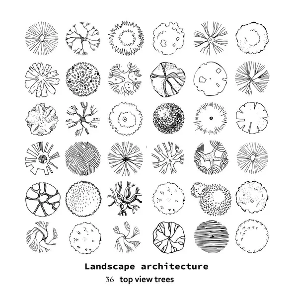 Top view big vector set of different trees.Hand drawn illustration for landscape design, plan, maps.Collection of trees, isolated on the white background. Royalty Free Stock Vectors