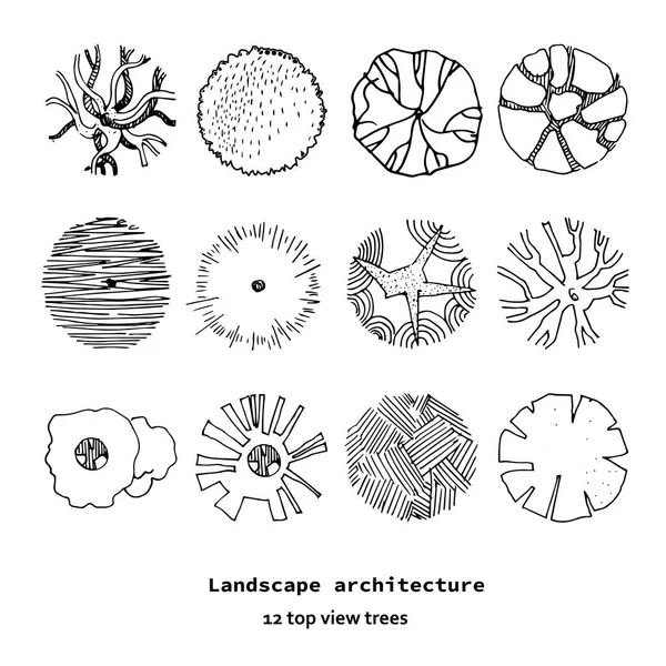 Top view vector set of different trees.Hand drawn illustration for landscape design, plan, maps.Collection of trees, isolated on the white background.Landscape architecture. — Stock Vector