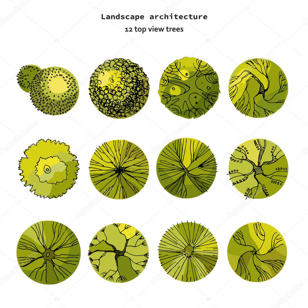 Top view vector set of different green trees.Hand drawn illustration for landscape design, plan, maps, games.Collection of cartoon trees, isolated on the white background.